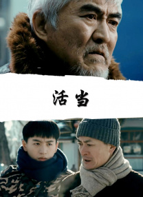 我的团长我的团全集免费观看